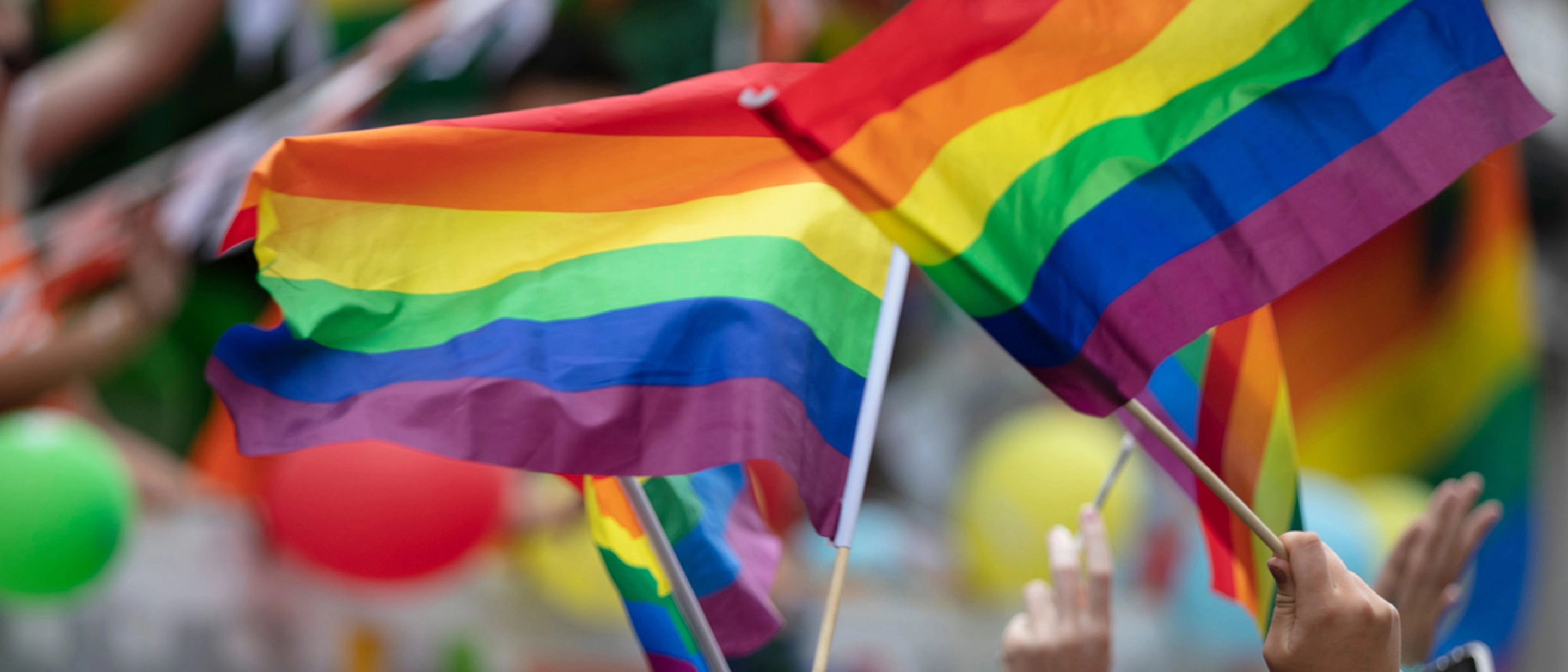 Handheld pride flags